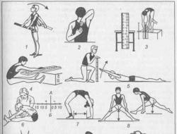 Kuidas testida oma keha painduvust: spetsiaalsed harjutused Kuidas testida oma selja- ja puusalihaste painduvust